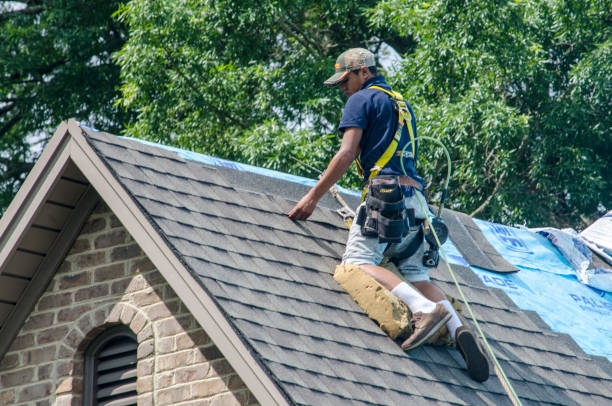 Quick and Trustworthy Emergency Roof Repair Services in Walnut Cove, NC